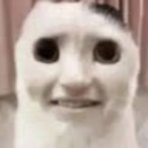 Meet your Posher, Gianna